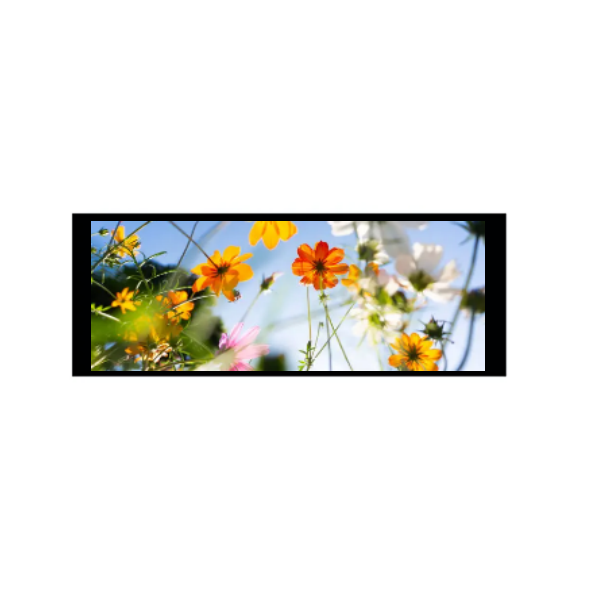 6,86 colio 480 × 1280 IPS TFT modulis